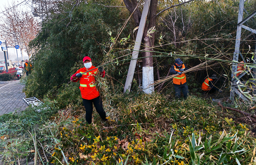 a17b0d55fa18bf581e0fb59bf7b54697